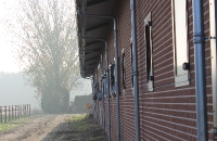 nieuwbouw manege met inpandige woning Ospel
