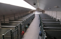 maneges nieuwbouw manege Swolgen